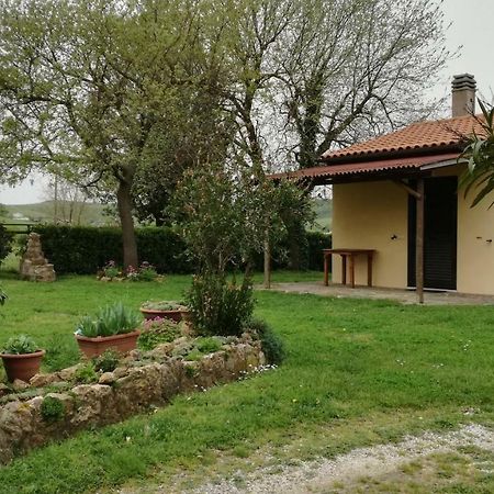 Agriturismo Cavallin Del Papa Capalbio Exterior foto