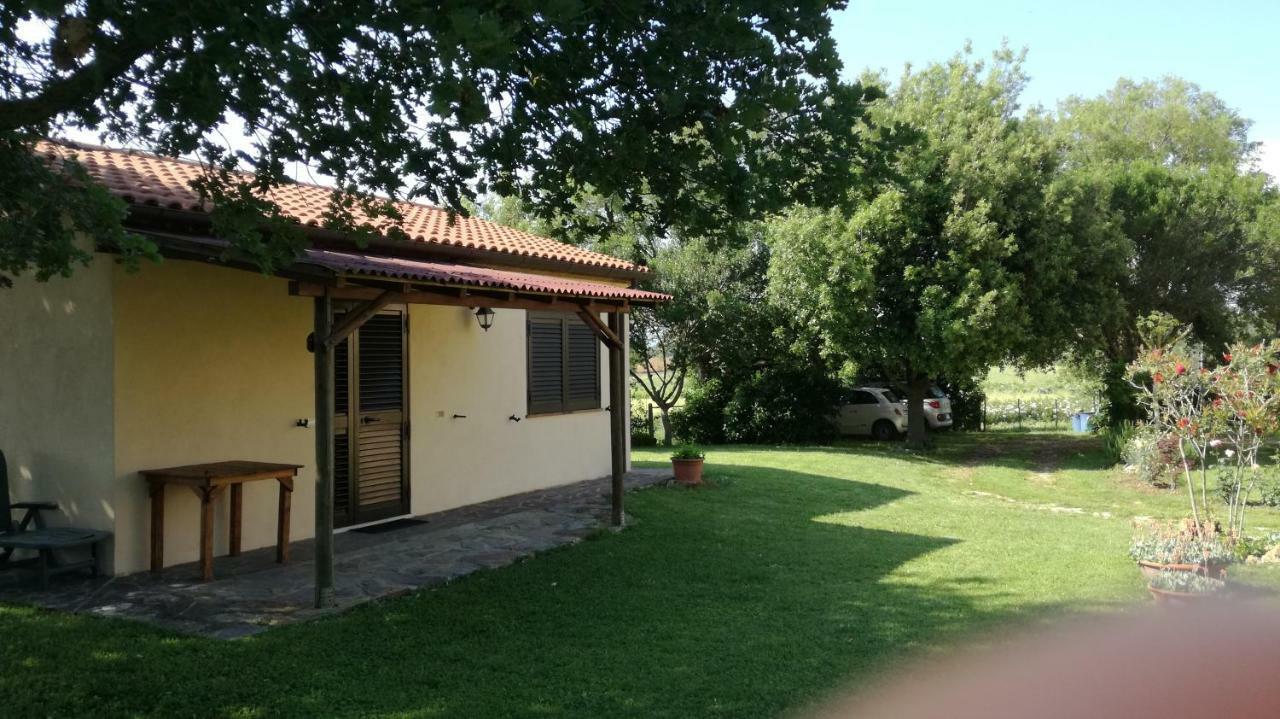 Agriturismo Cavallin Del Papa Capalbio Exterior foto