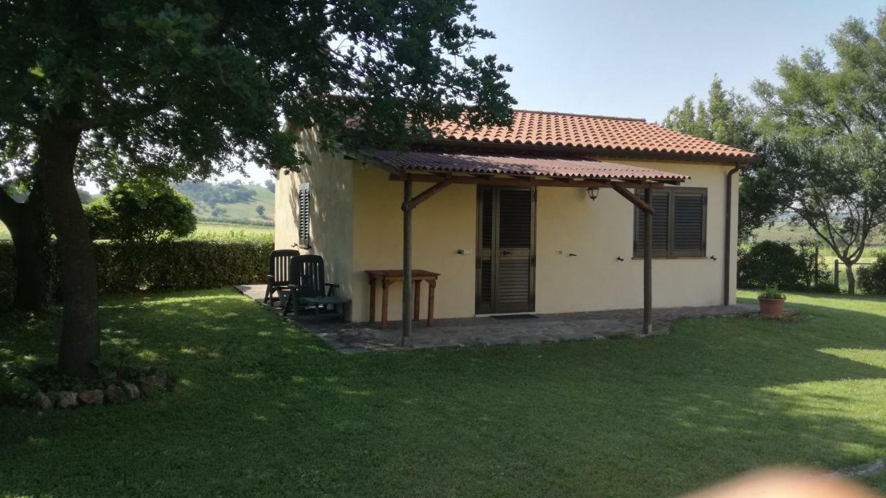 Agriturismo Cavallin Del Papa Capalbio Exterior foto