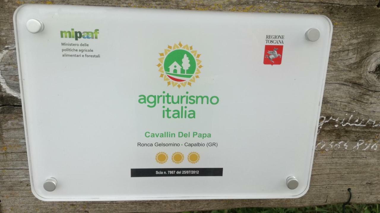 Agriturismo Cavallin Del Papa Capalbio Exterior foto