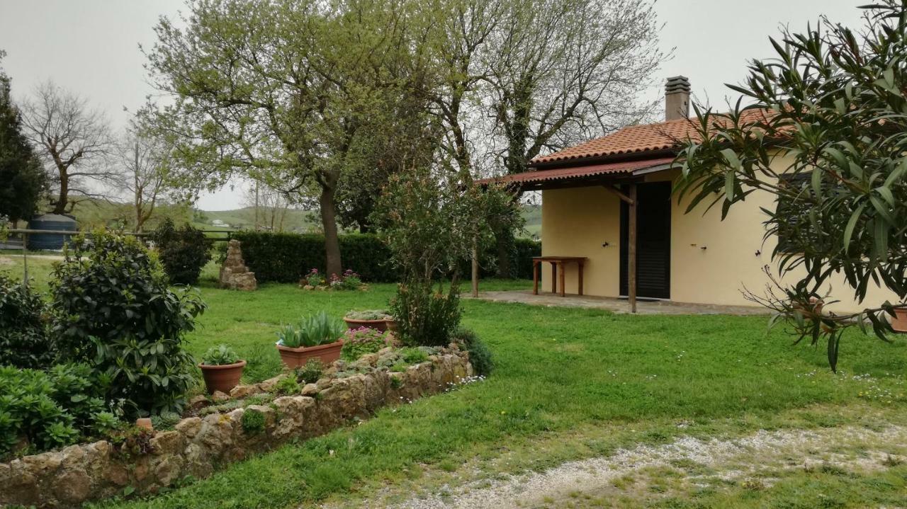 Agriturismo Cavallin Del Papa Capalbio Exterior foto