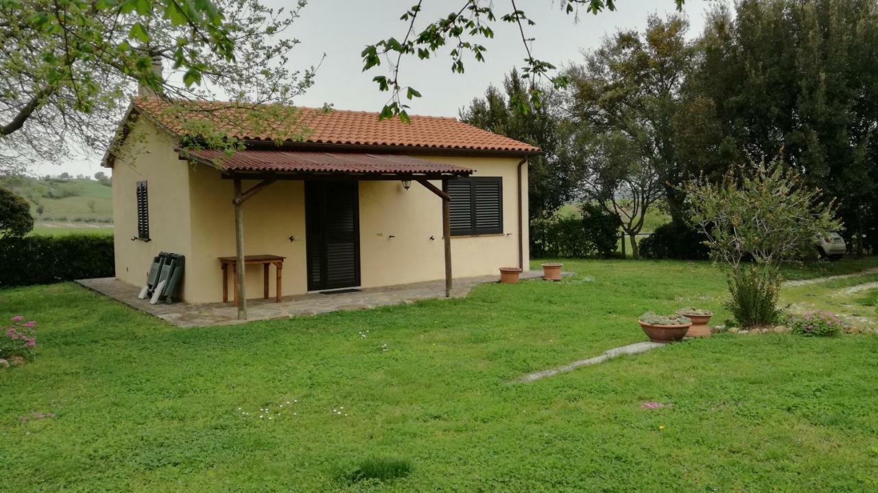Agriturismo Cavallin Del Papa Capalbio Exterior foto