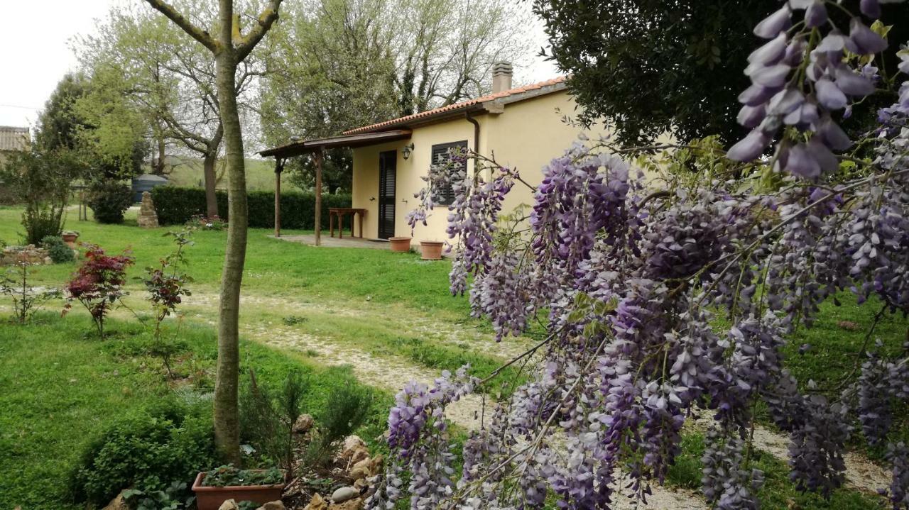 Agriturismo Cavallin Del Papa Capalbio Exterior foto
